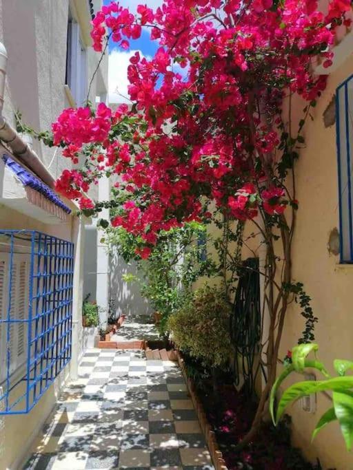 Maison A El Omrane . Tunis Exteriör bild